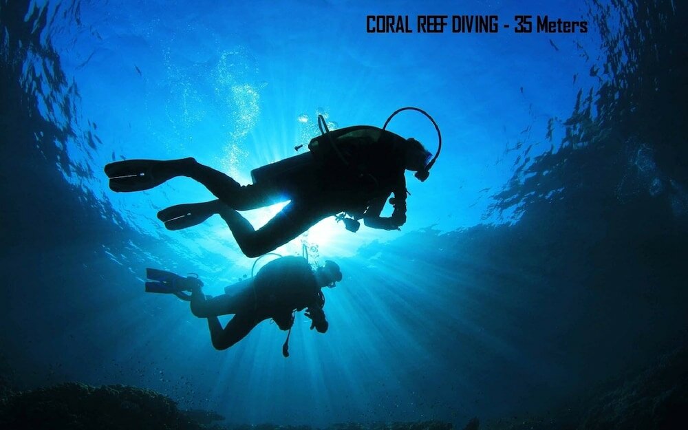 Фото Tamara Motels