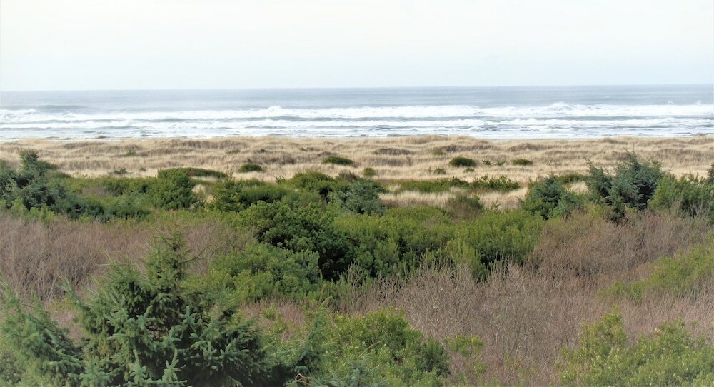 Фото The Polynesian Resort