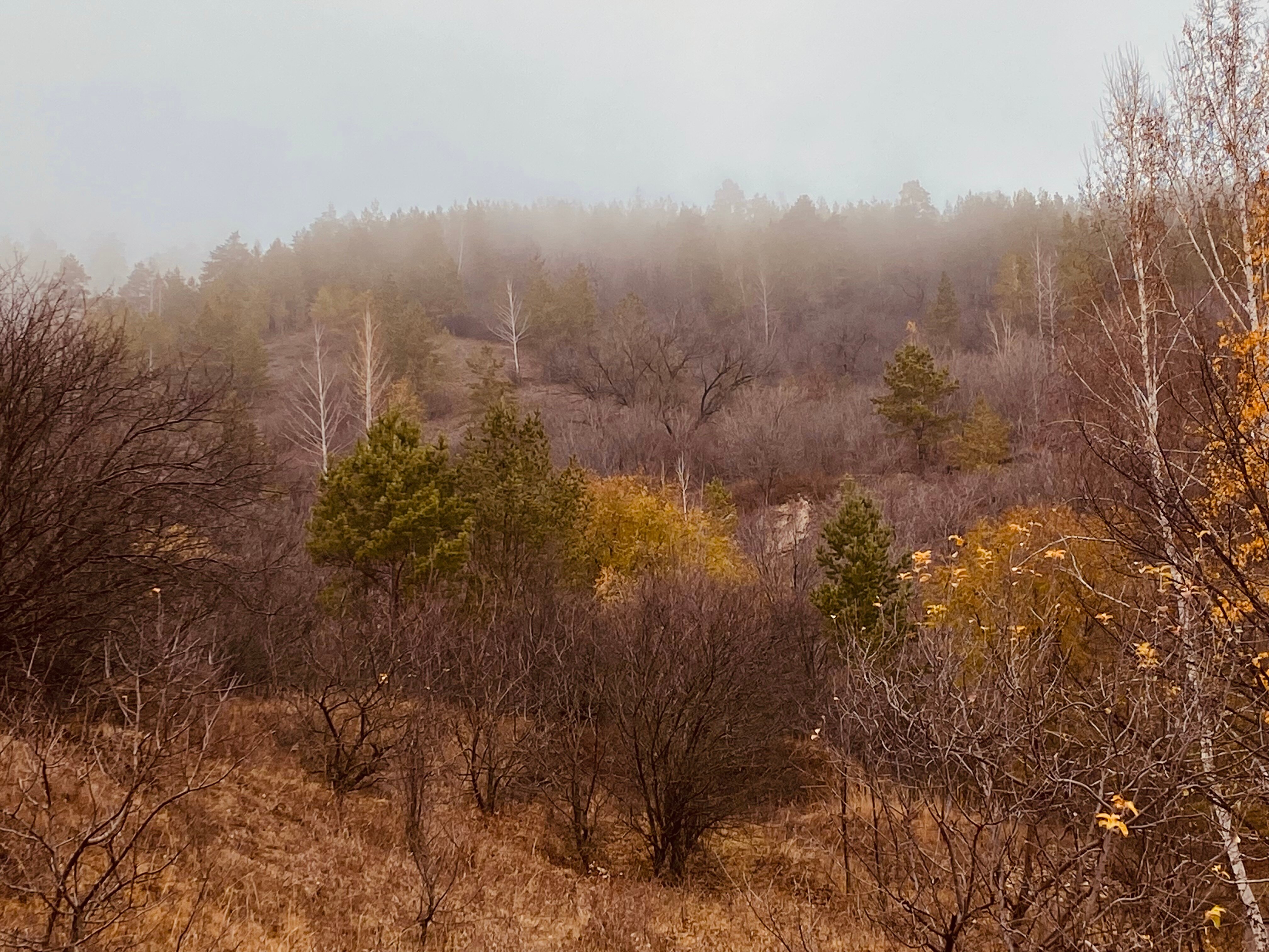 Фото Домик в горах