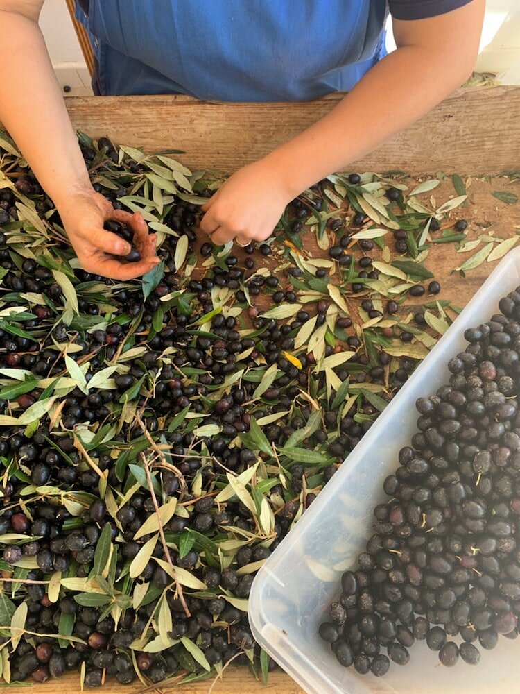 Фото Country House Sorelle Barnaba