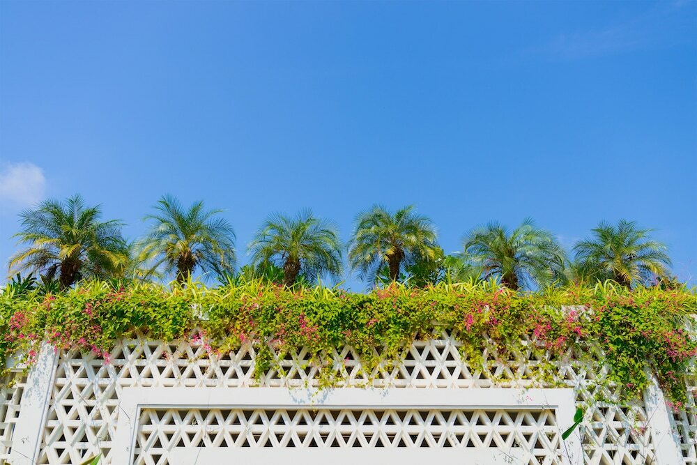 Фото Metta Residence & SPA