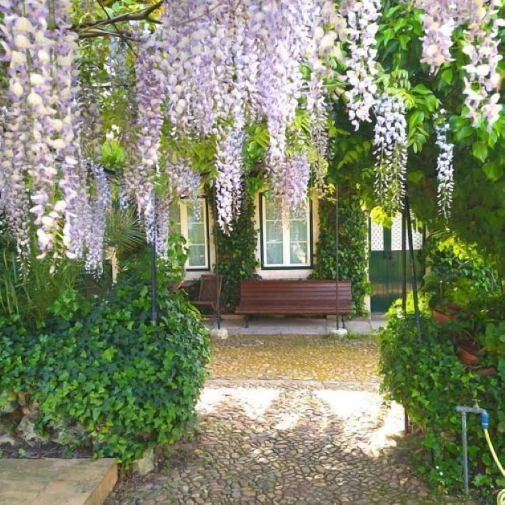 Фото Casa do Foral