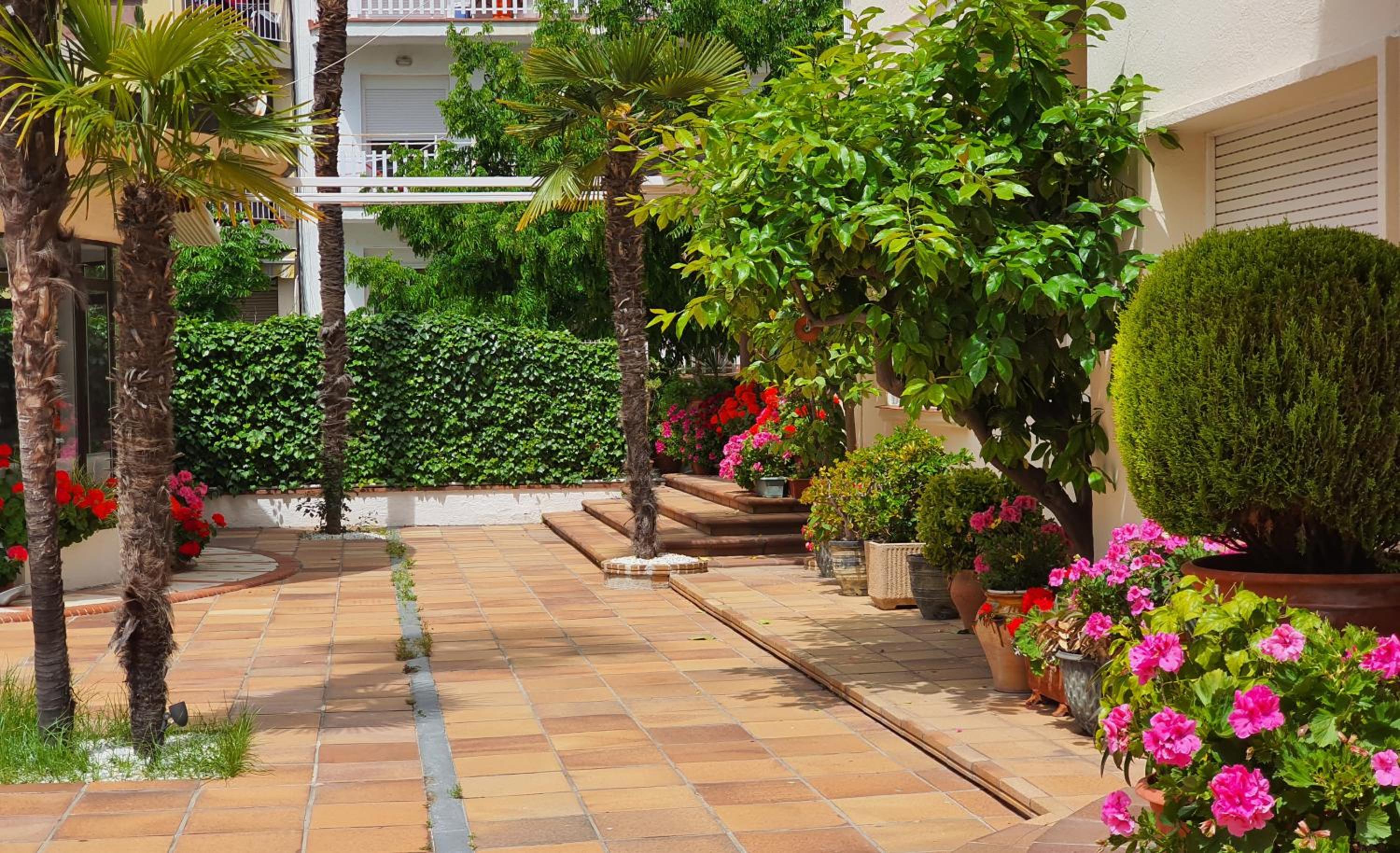 Фото Hotel Mireia