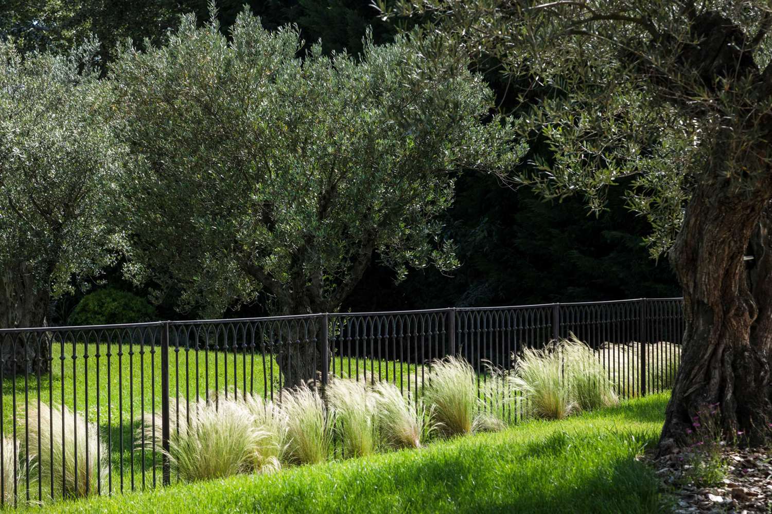 Фото 209358657567