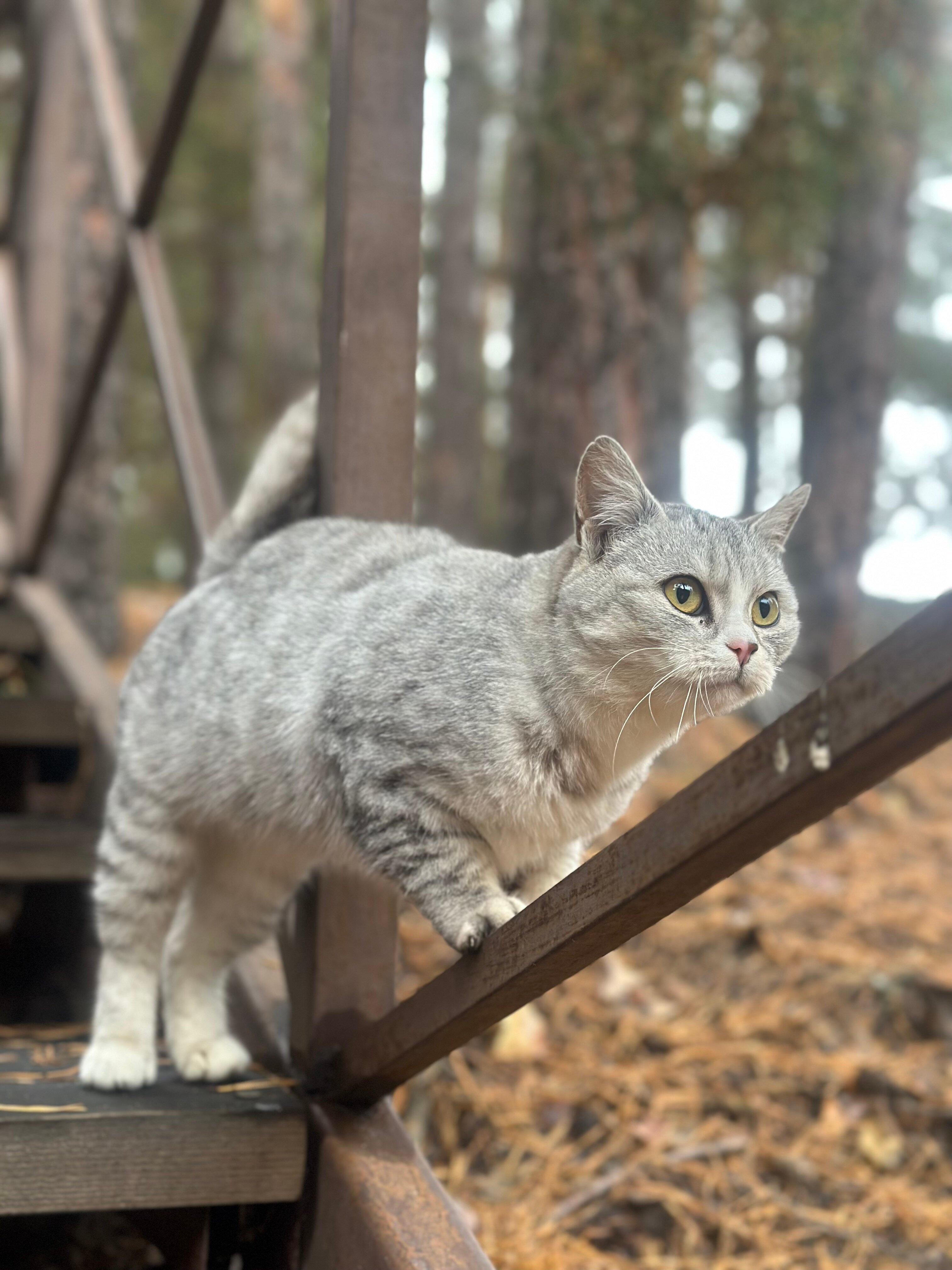Фото Старый дворик