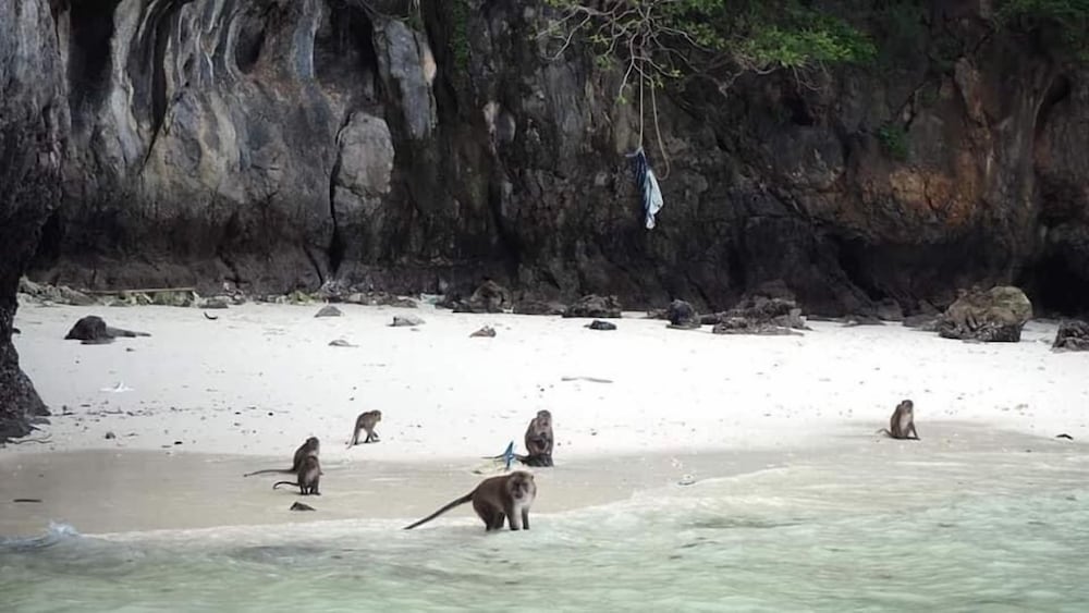 Фото Chongkhao Resort