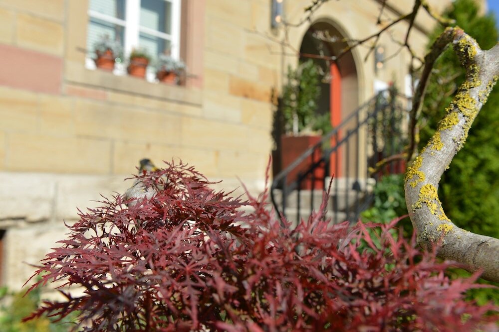 Фото 201356372025