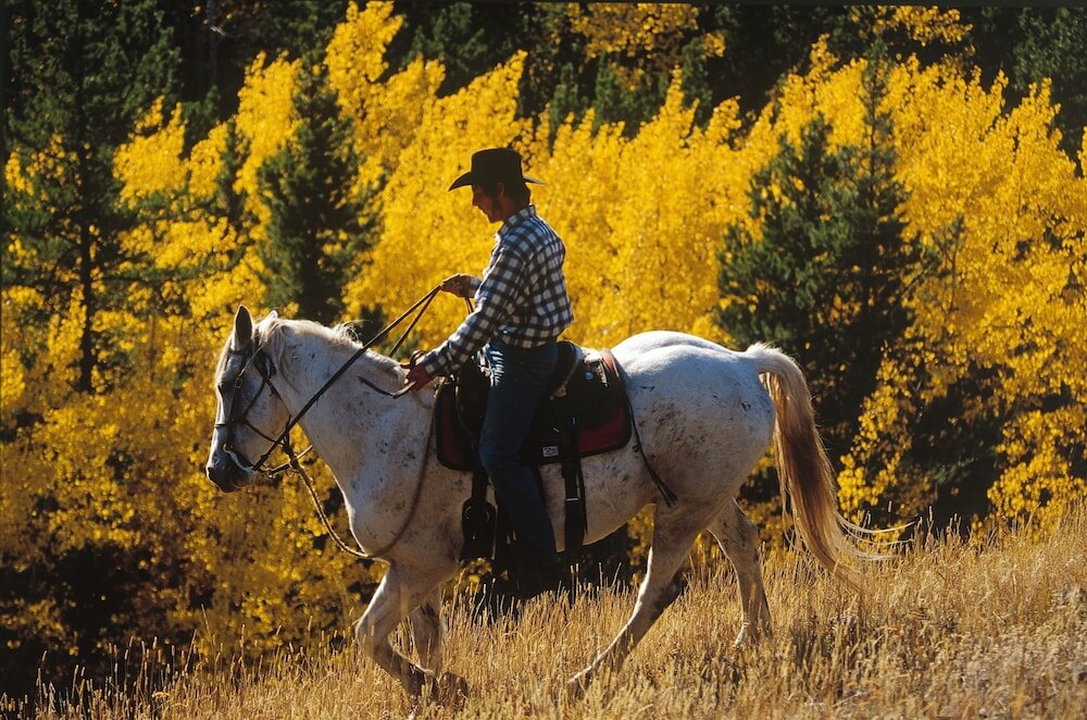 Фото Falcon Crest Lodge