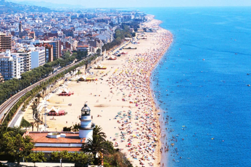 Фото DWO Les Palmeres