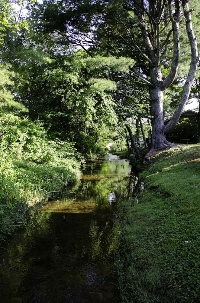 Фото The Village Inn