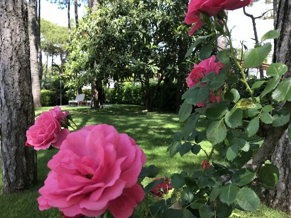 Фото Hotel Greif