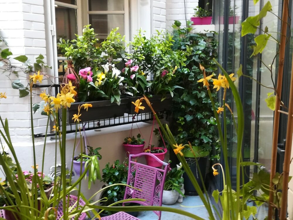 Фото Hotel Virgina