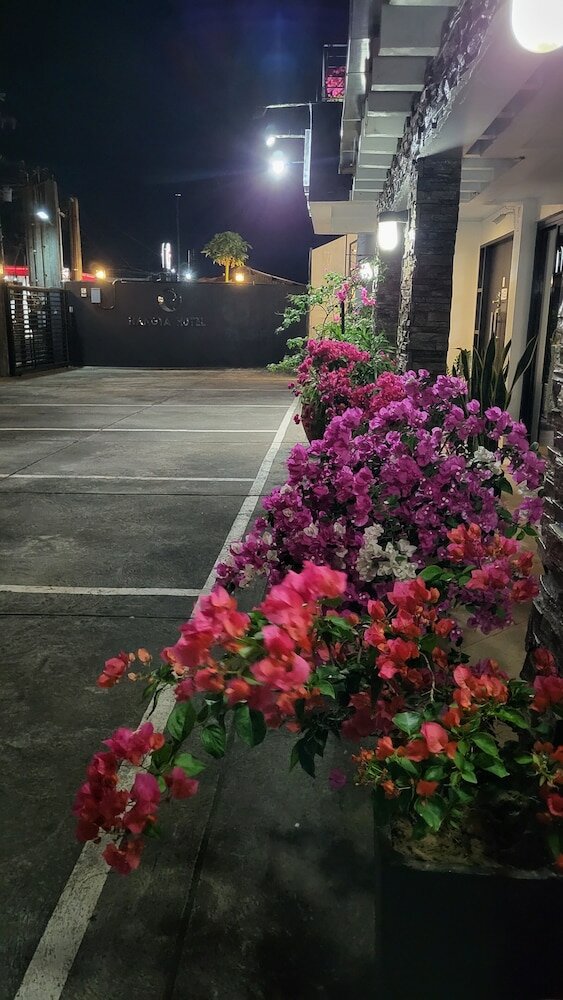 Фото Rangya Hotel