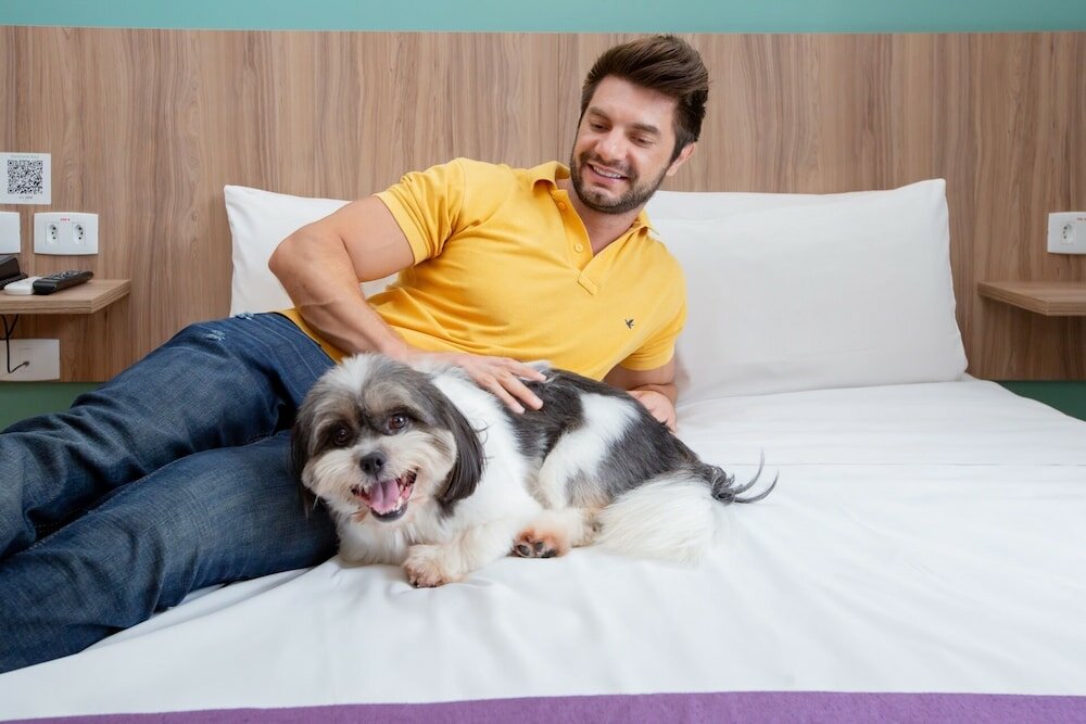 Фото Go Inn Cambuí Campinas