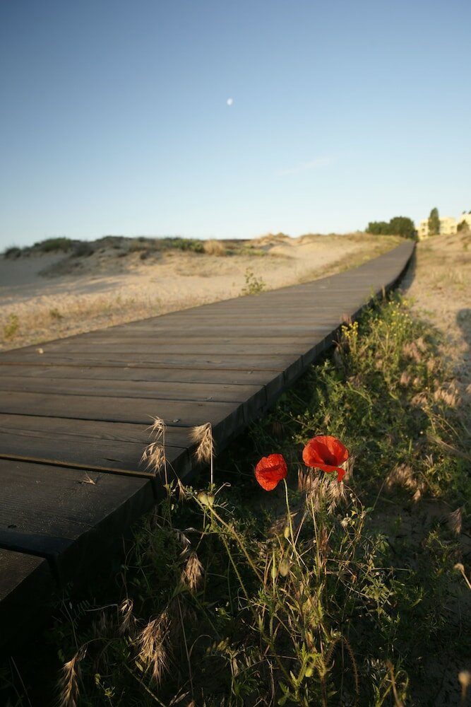 Фото Hotel Sirena