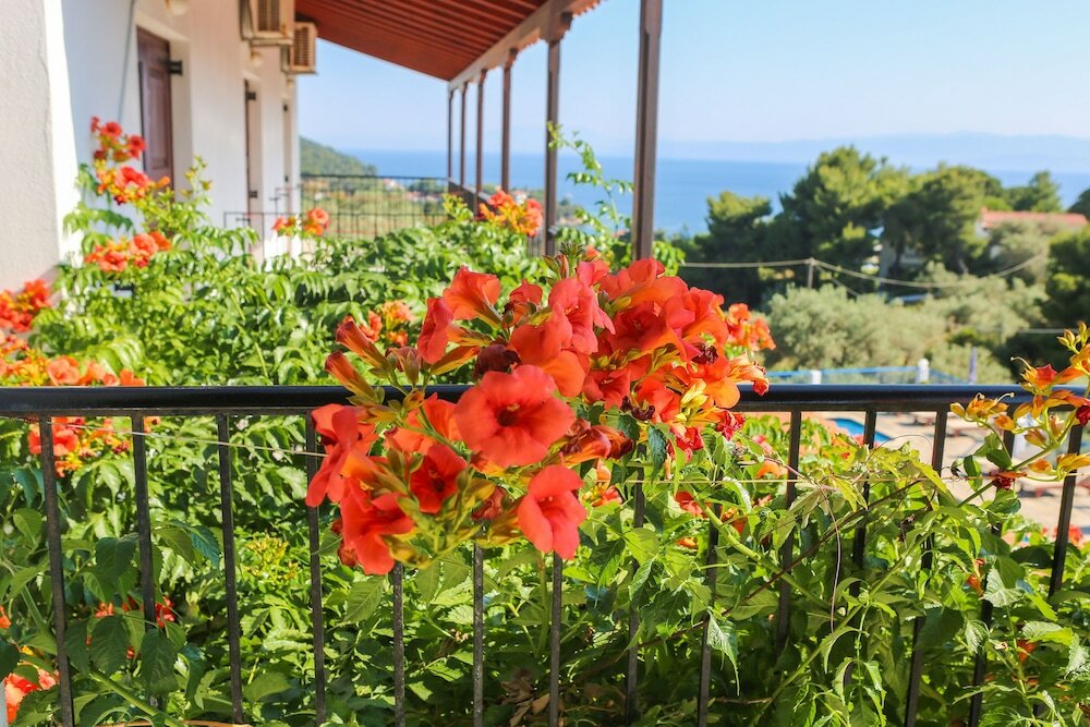 Фото Angelina Studios