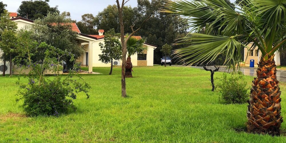 Фото Diamant Vert