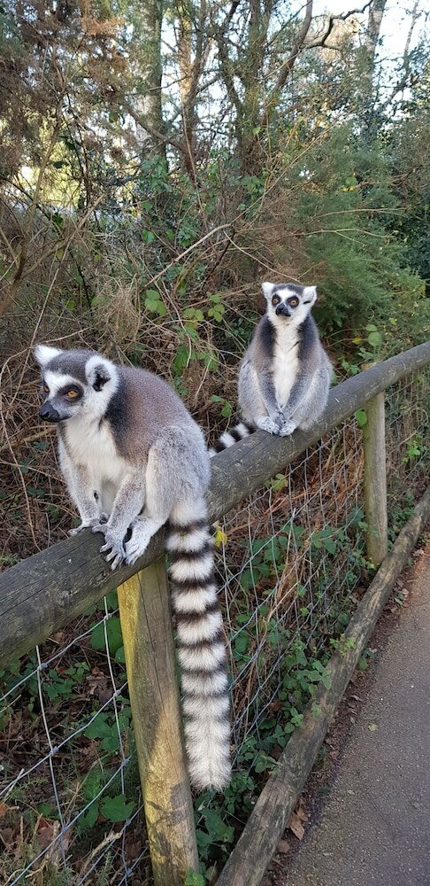 Фото Brunswick Bed & Breakfast