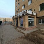 Seven flowers (Shaımerden Qosshyǵululy kóshesi, 16), flower shop