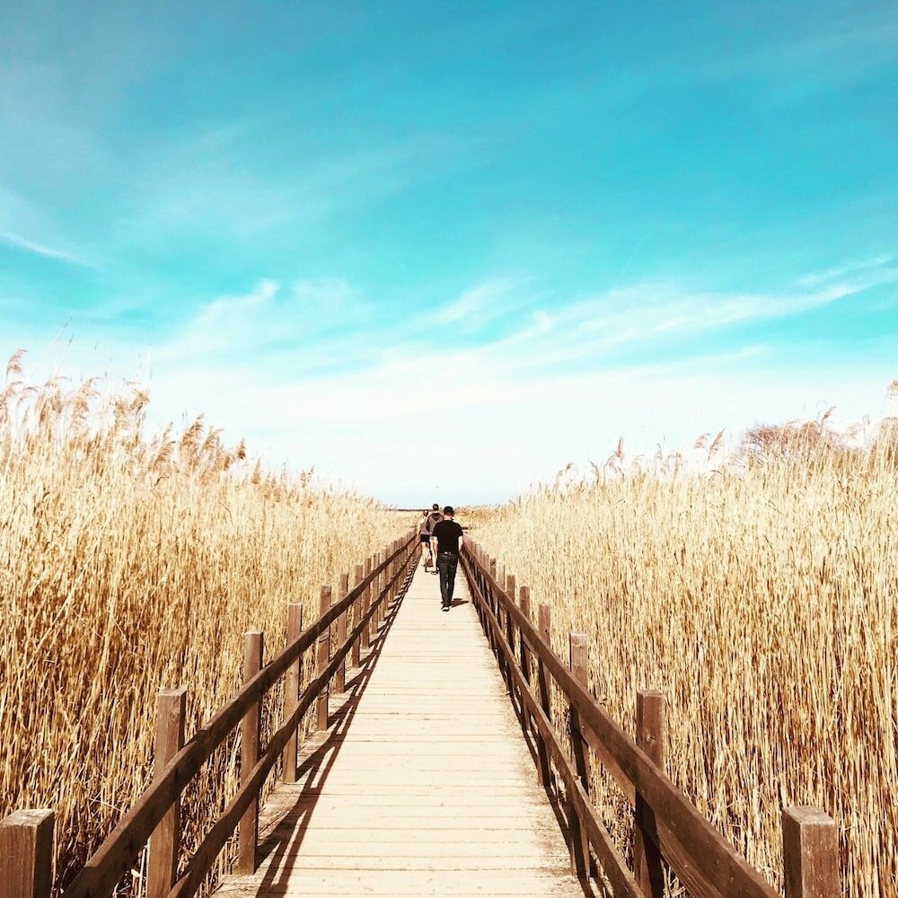 Фото Hotell Miskarp