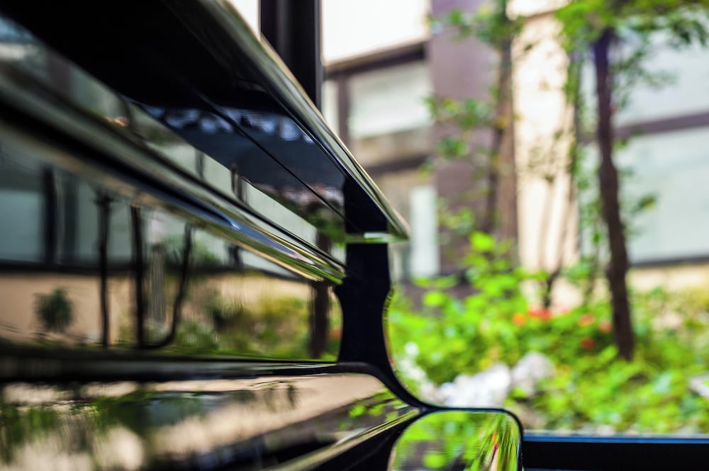 Фото Hotel Donatello Imola