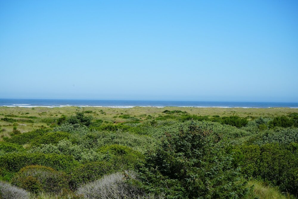 Фото Ocean Paradise Hotel and Resort