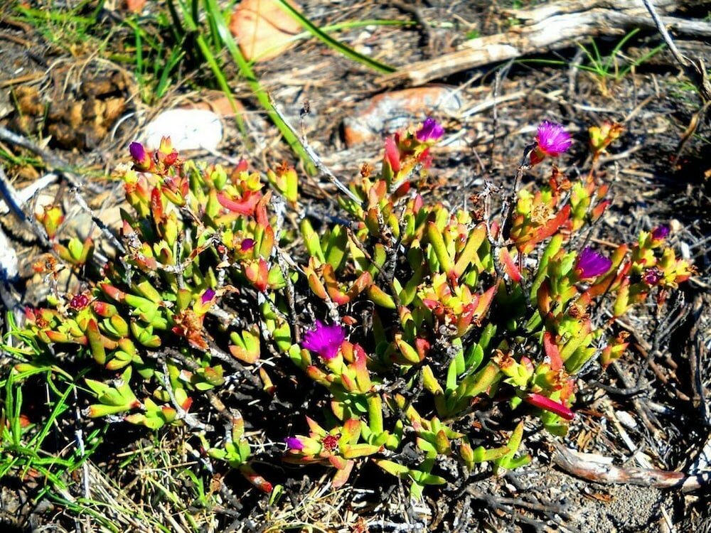 Фото Pabala Game Farm