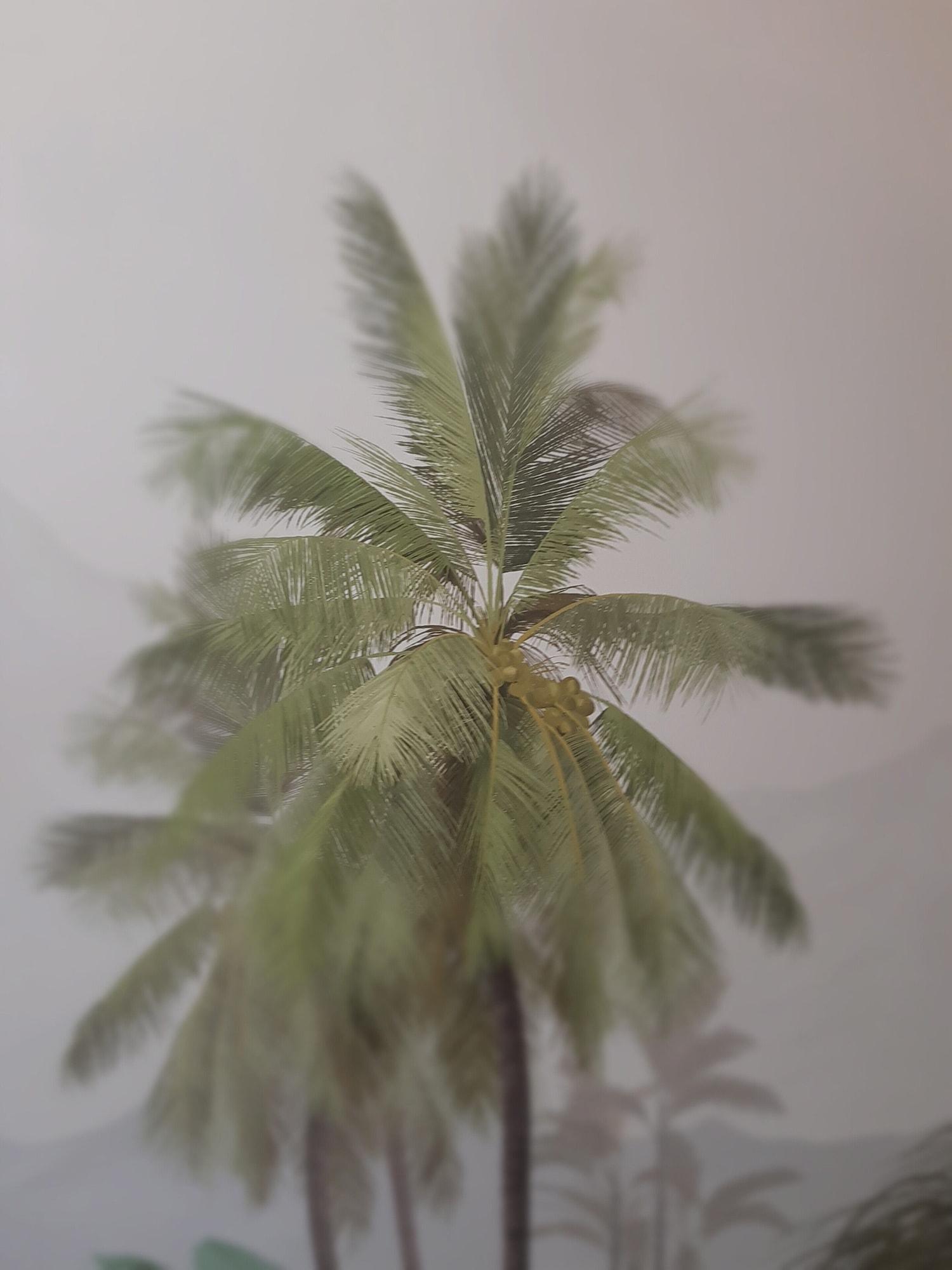 Фото Three House Hotel