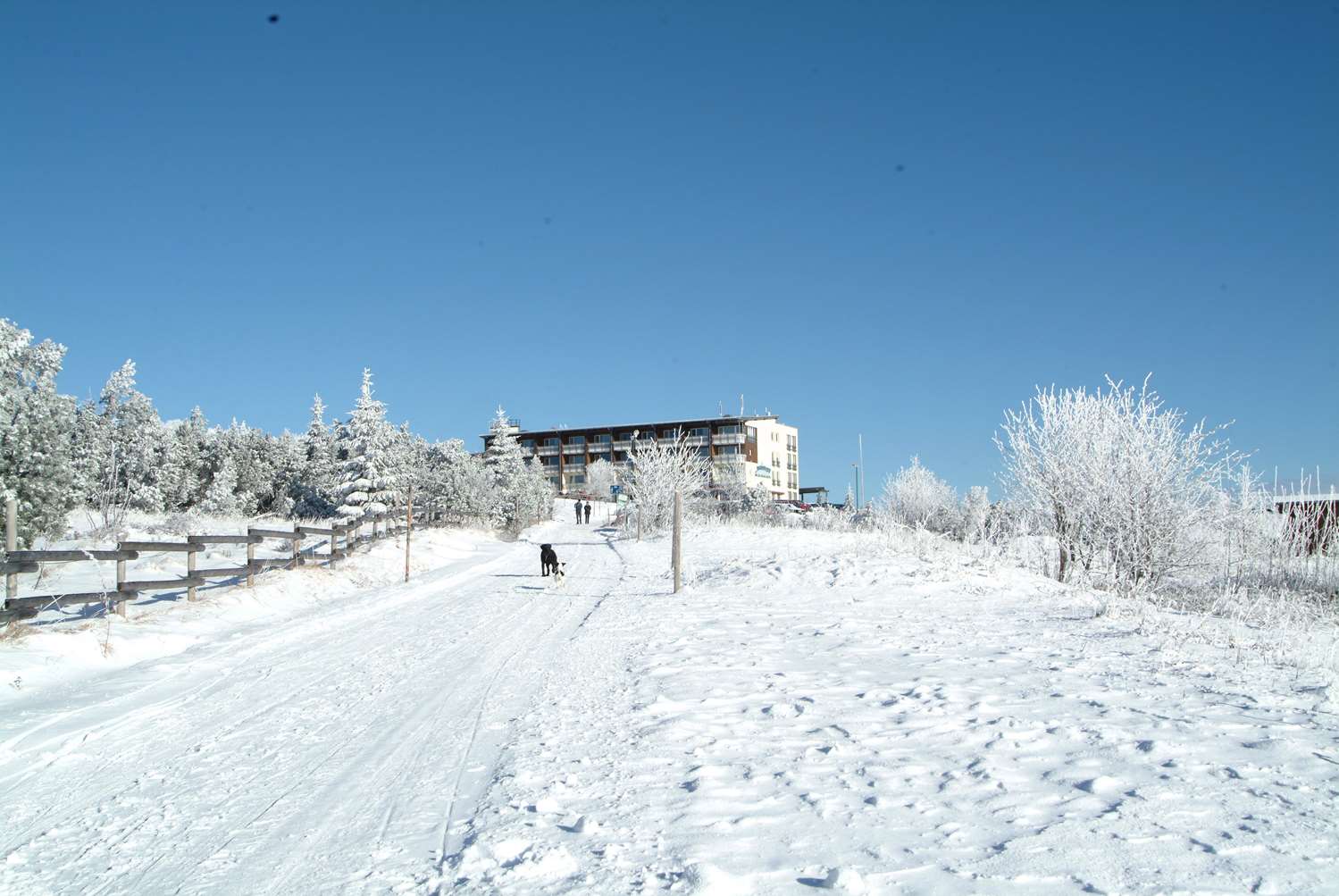 Фото Wellness- & Nationalpark Hotel Schliffkopf