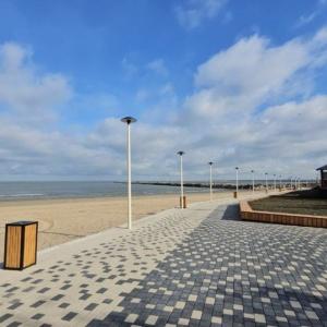 Фото Берёзка