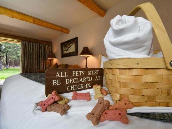 Фото Best Western Ponderosa Lodge