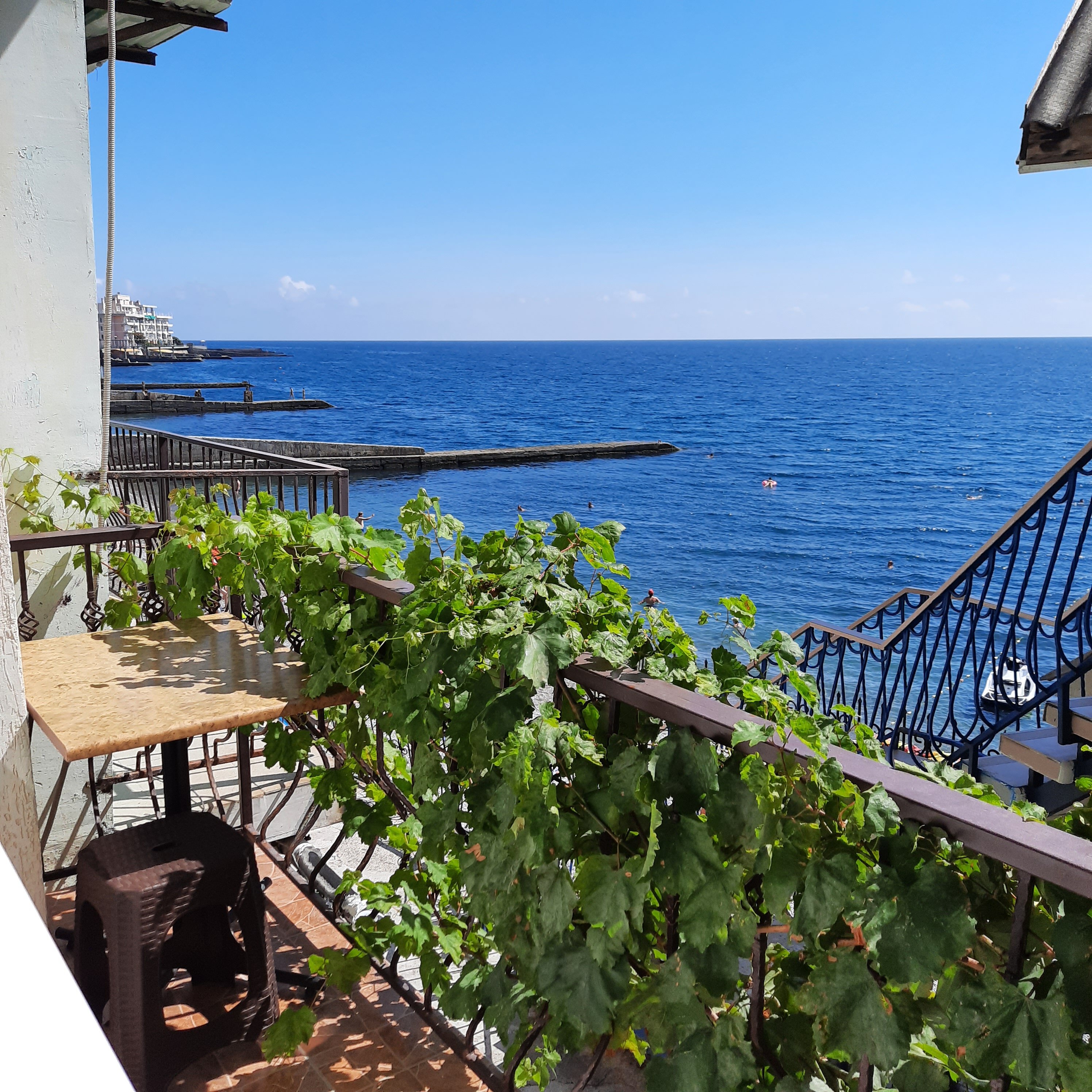 Фото Кокос эллинг