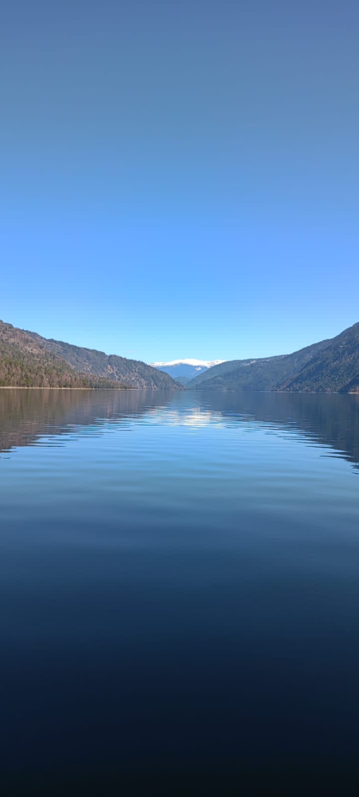 Фото Вместе