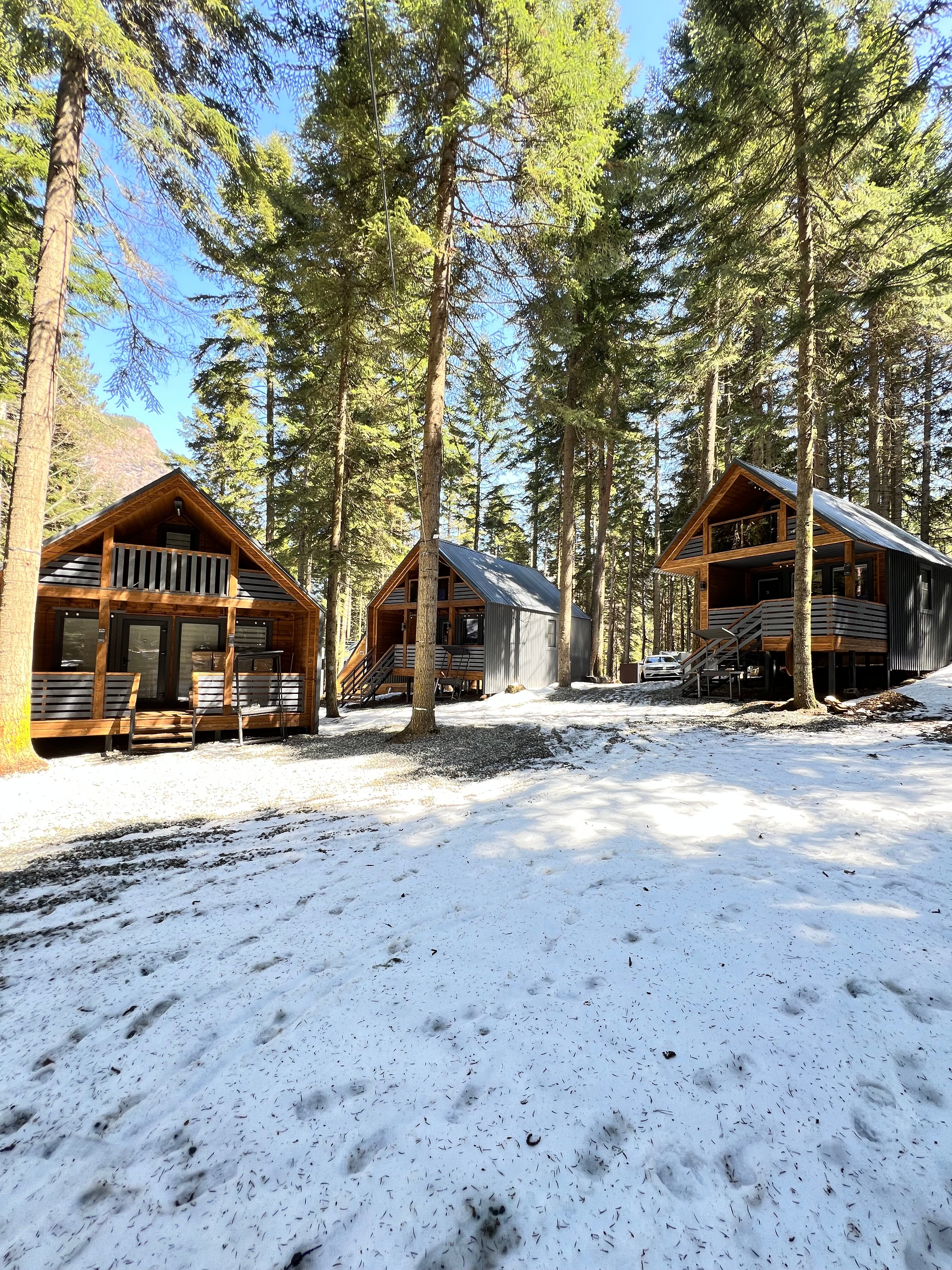 Фото Лесная Заимка