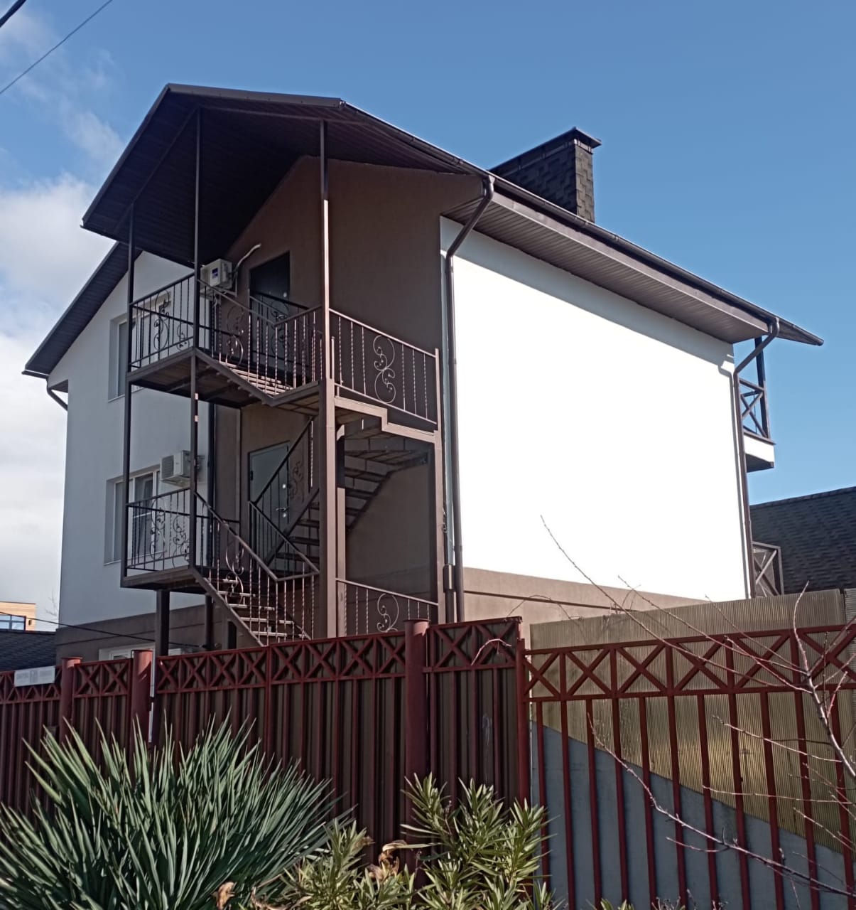 Фото Астера