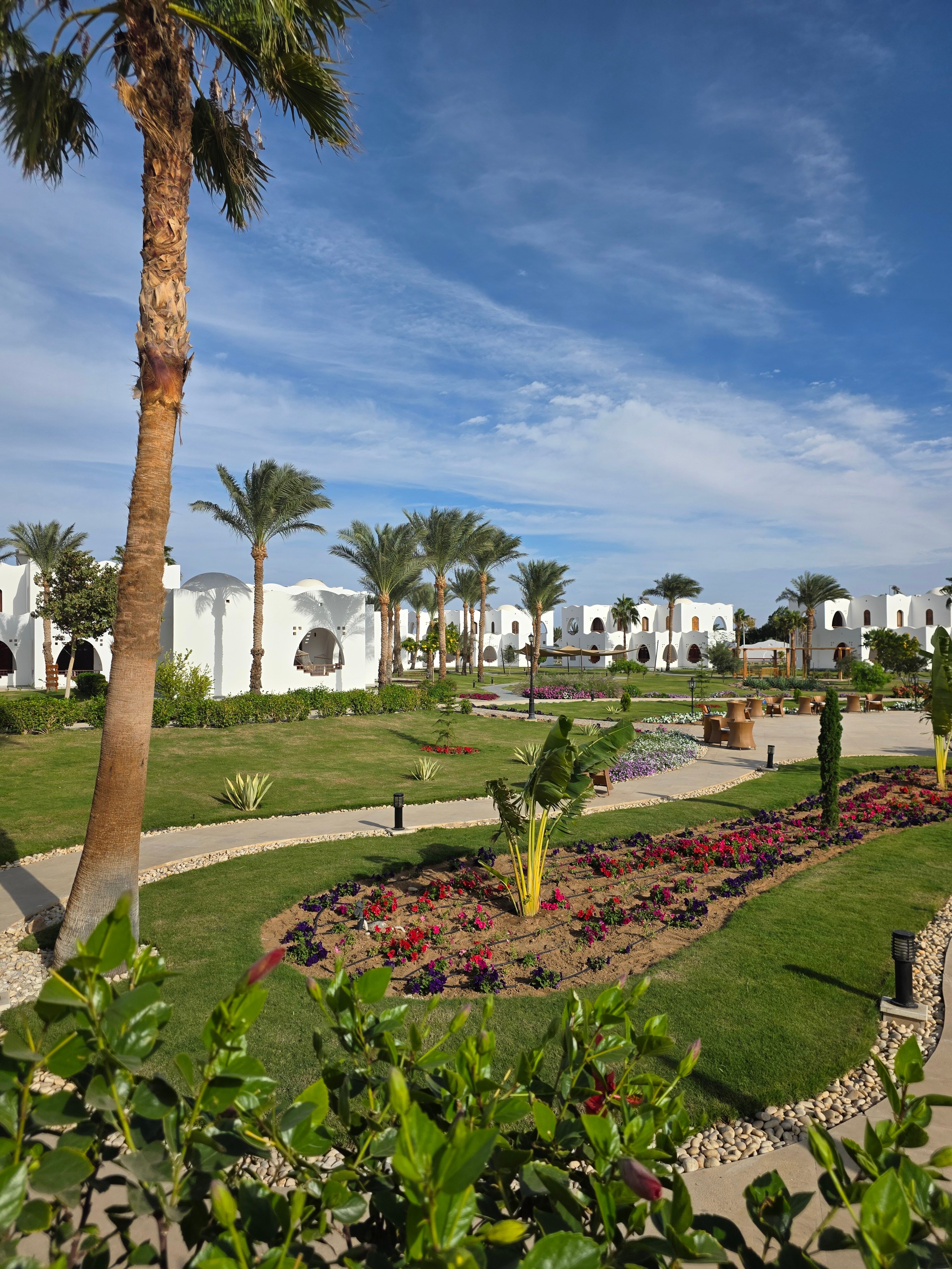 Фото Safir Dahab Egypt