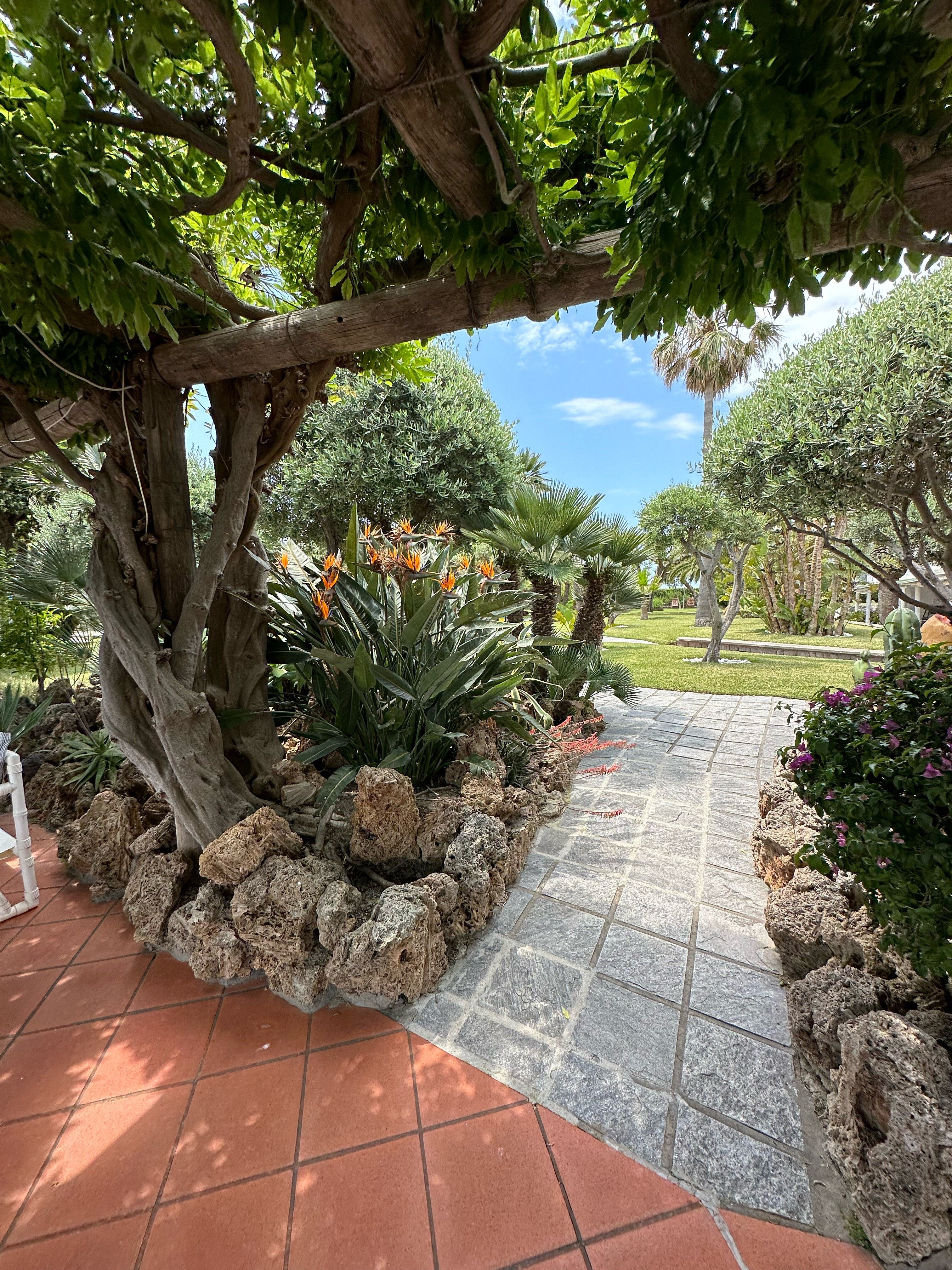 Фото Hotel San Michele