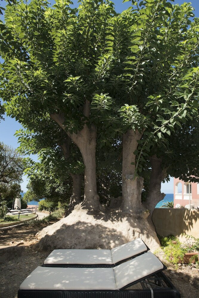 Фото Villa Mosca