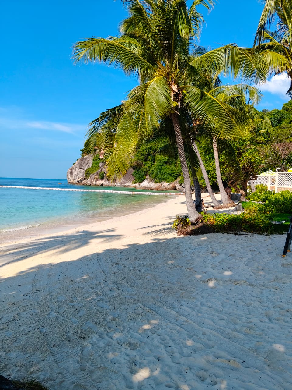 Фото Cocohut Beach Resort & SPA