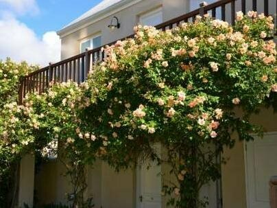 Внешний вид отеля Lemoenkloof Guest House в Муниципалитете Дракенштейне, фото 5