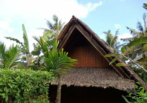 Гостиница Palau Plantation Resort в Палау