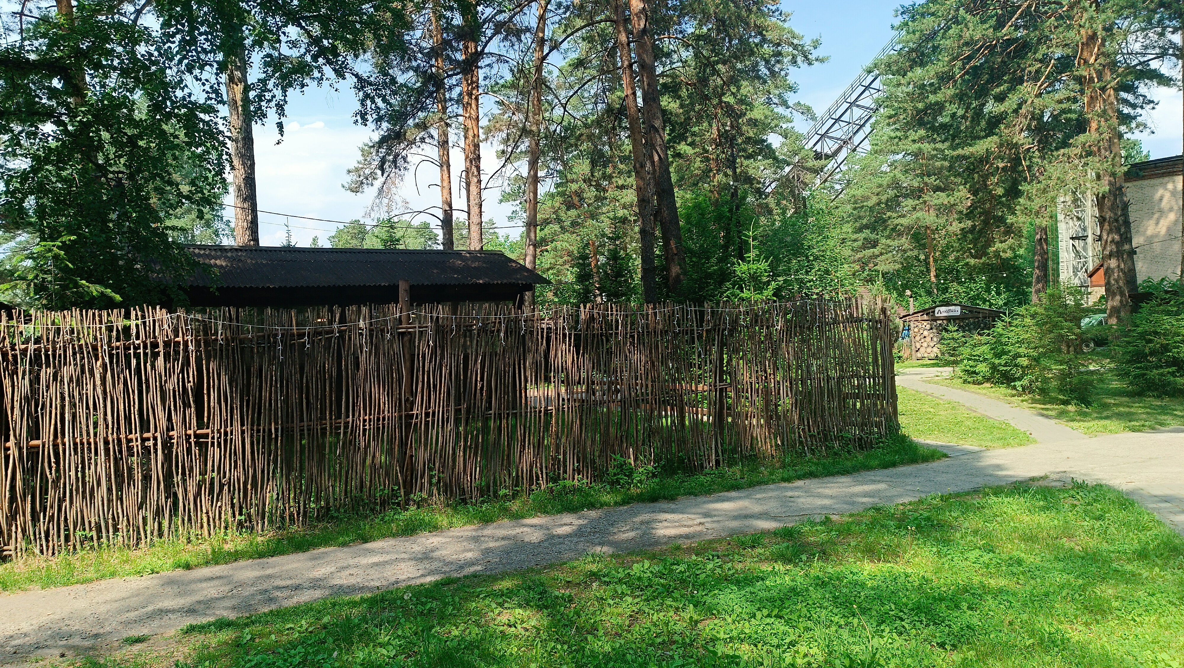 Фото Академия