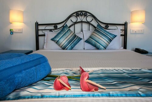Гостиница Agonda Palm Beach Resort в Агонде
