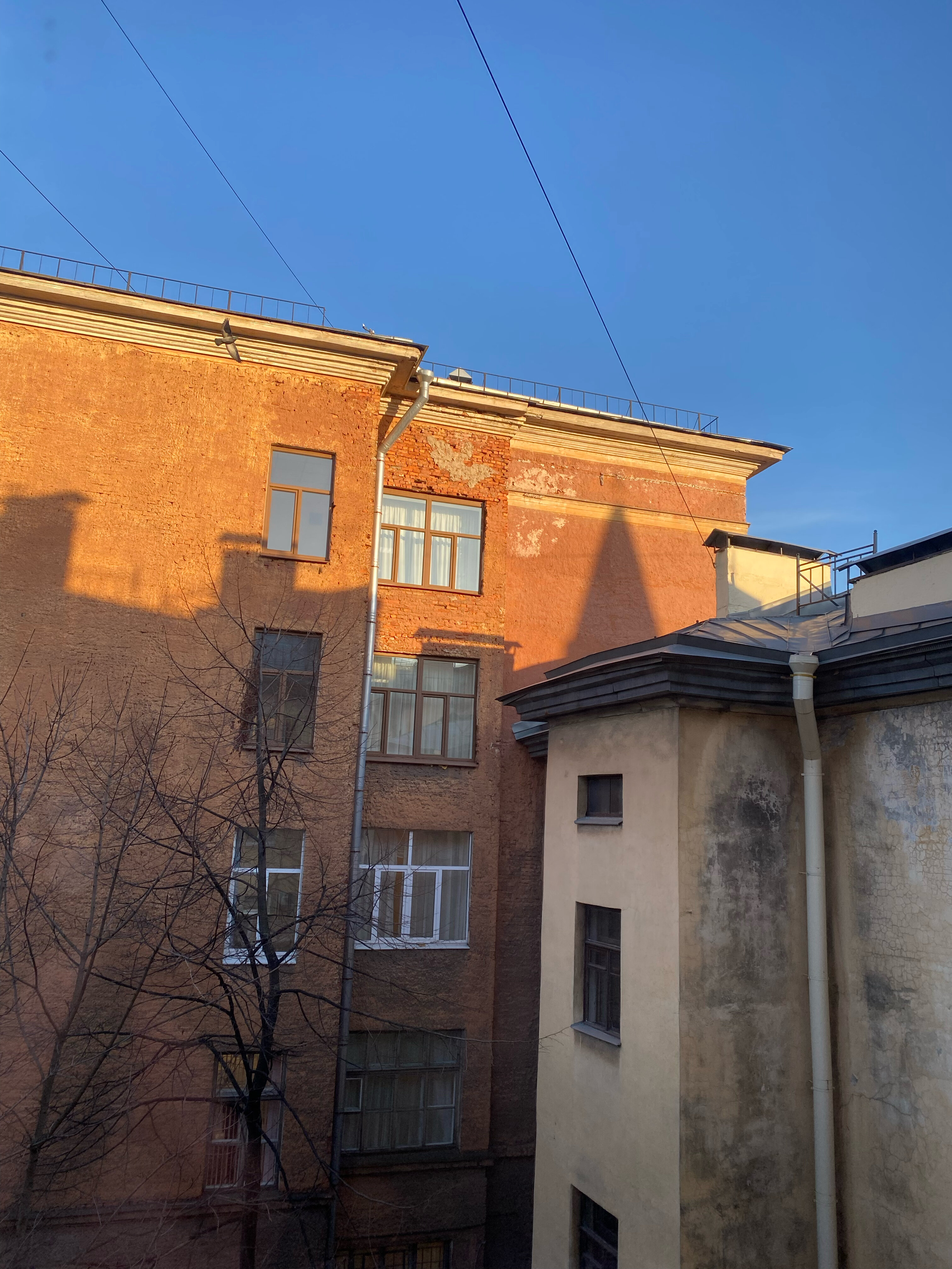 Фото Рубика