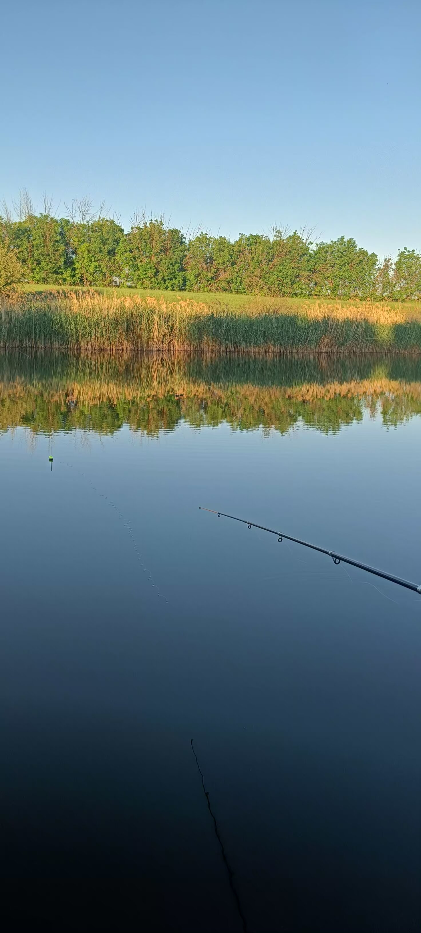 Фото Zолотой саZан