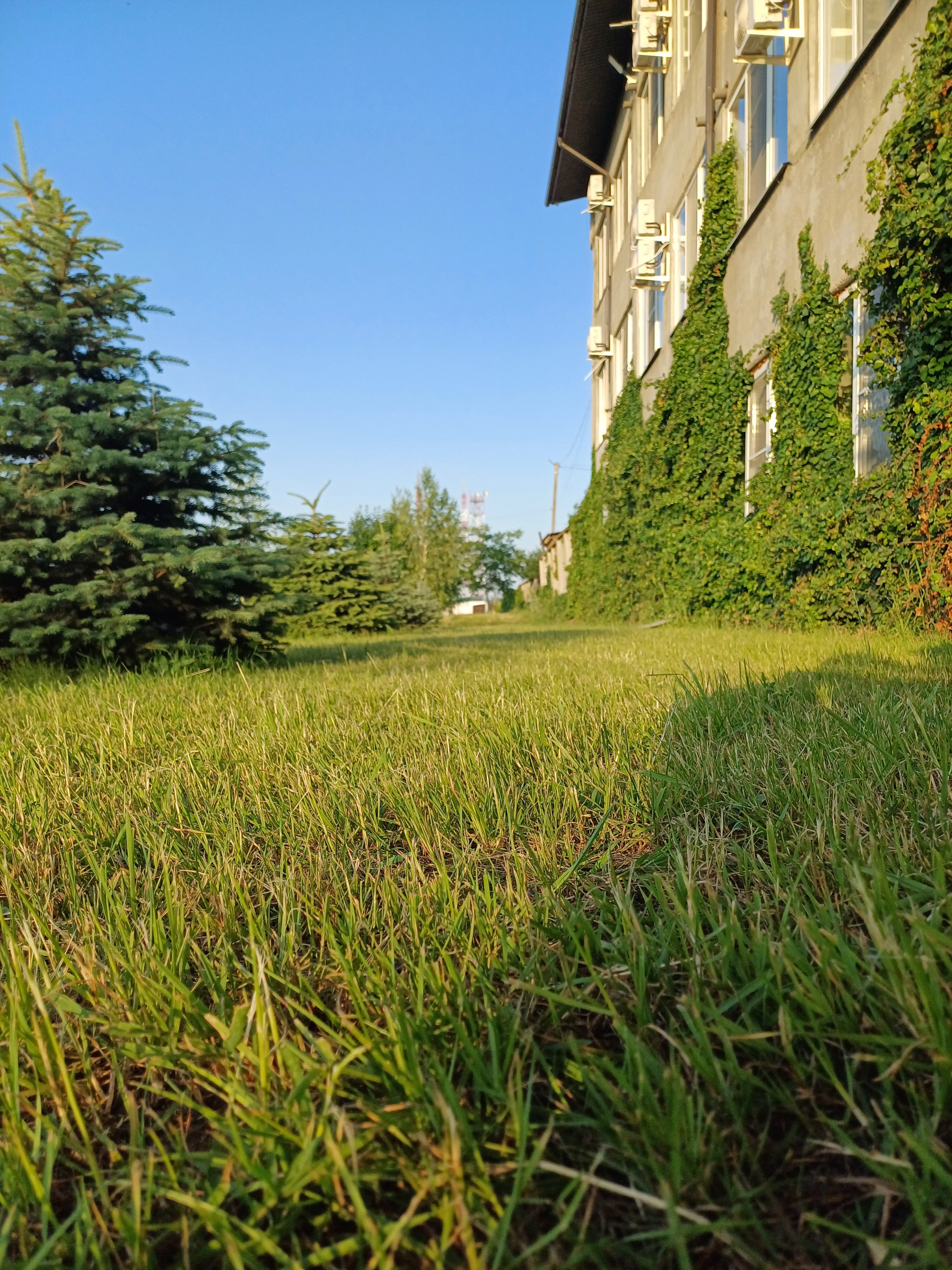 Фото Green Hotel