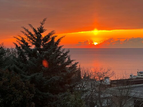 Гостевой дом Гостевой дом Чудная Лаванда в Крыму