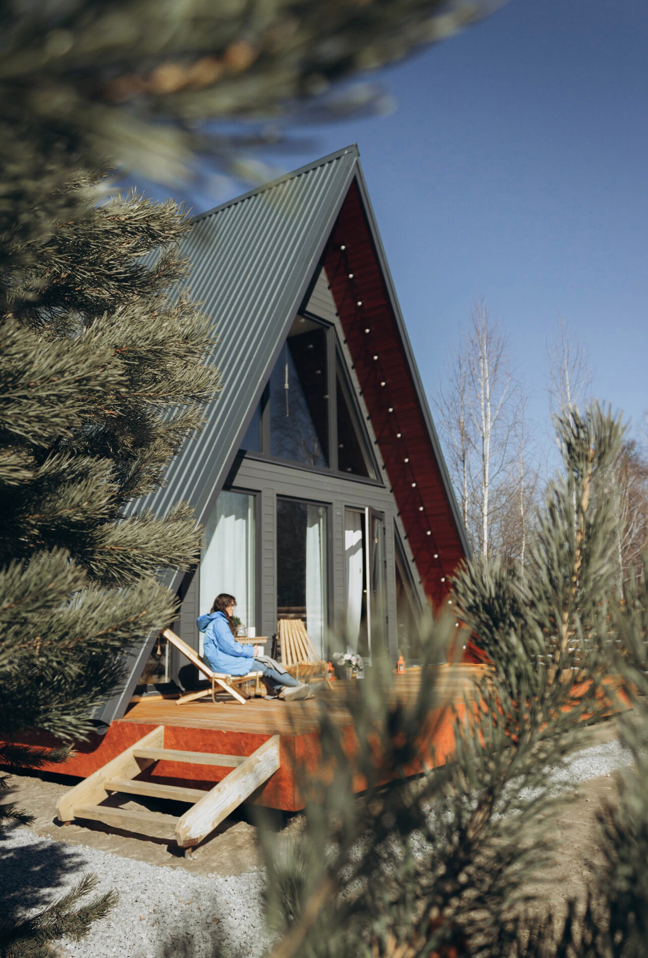 Фото Сканди дом