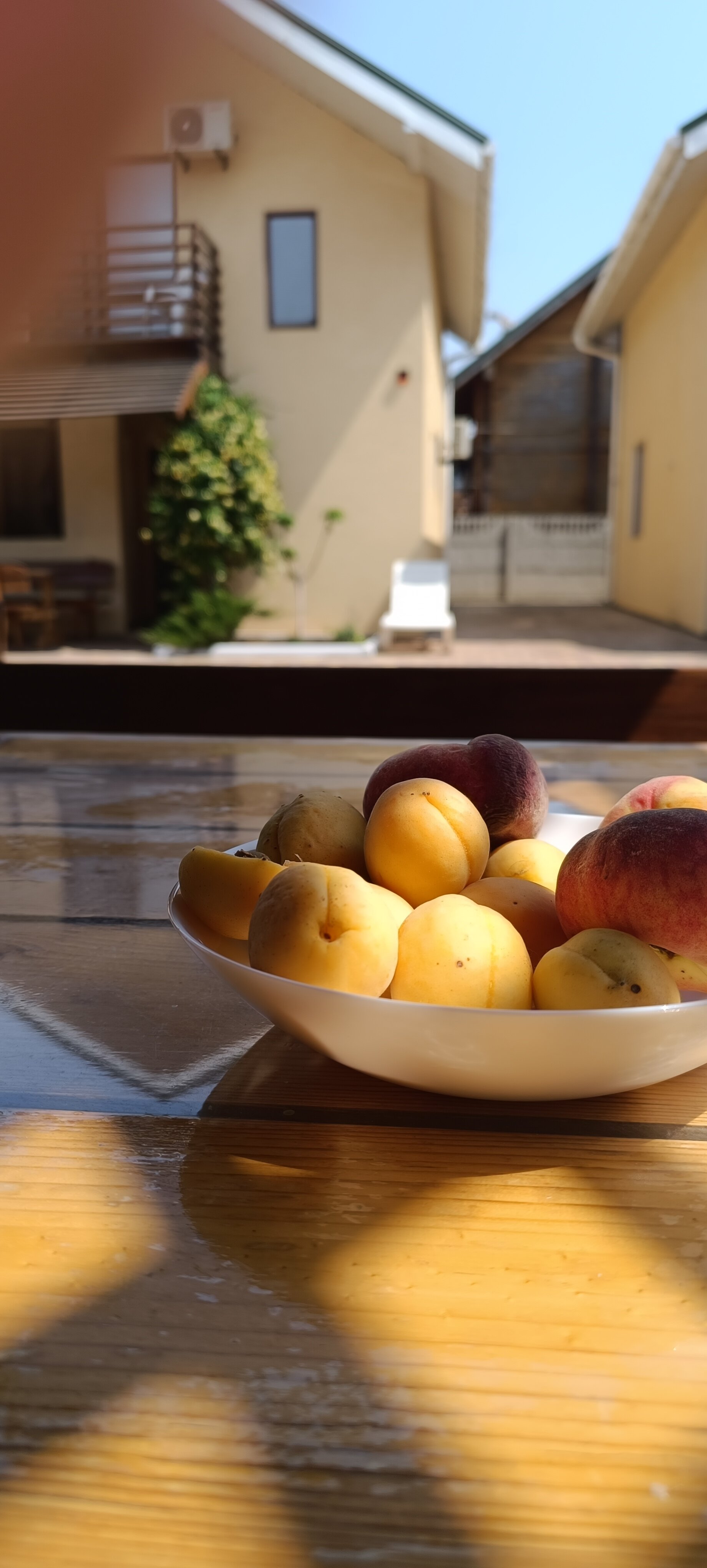 Фото Семейный дворик