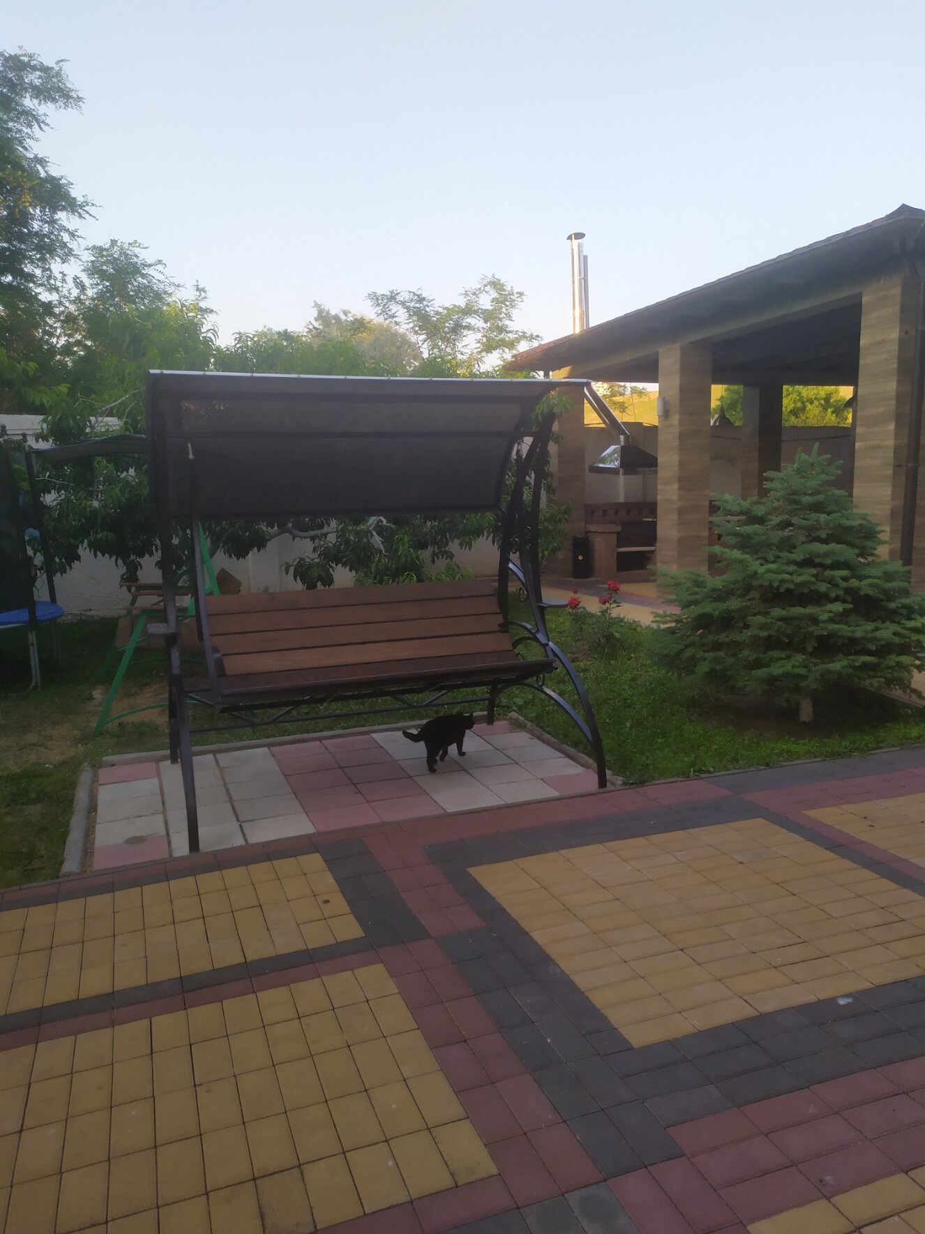 Фото Одиссей